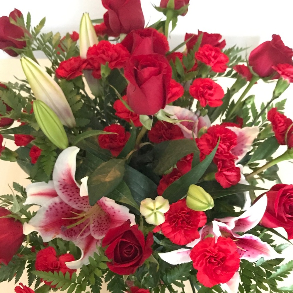 Meet your Posher, Skye